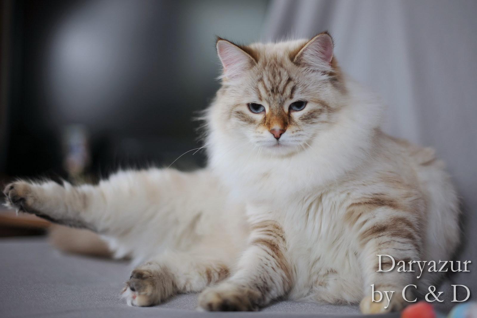 Venez découvrir nos dernières nouveautés!