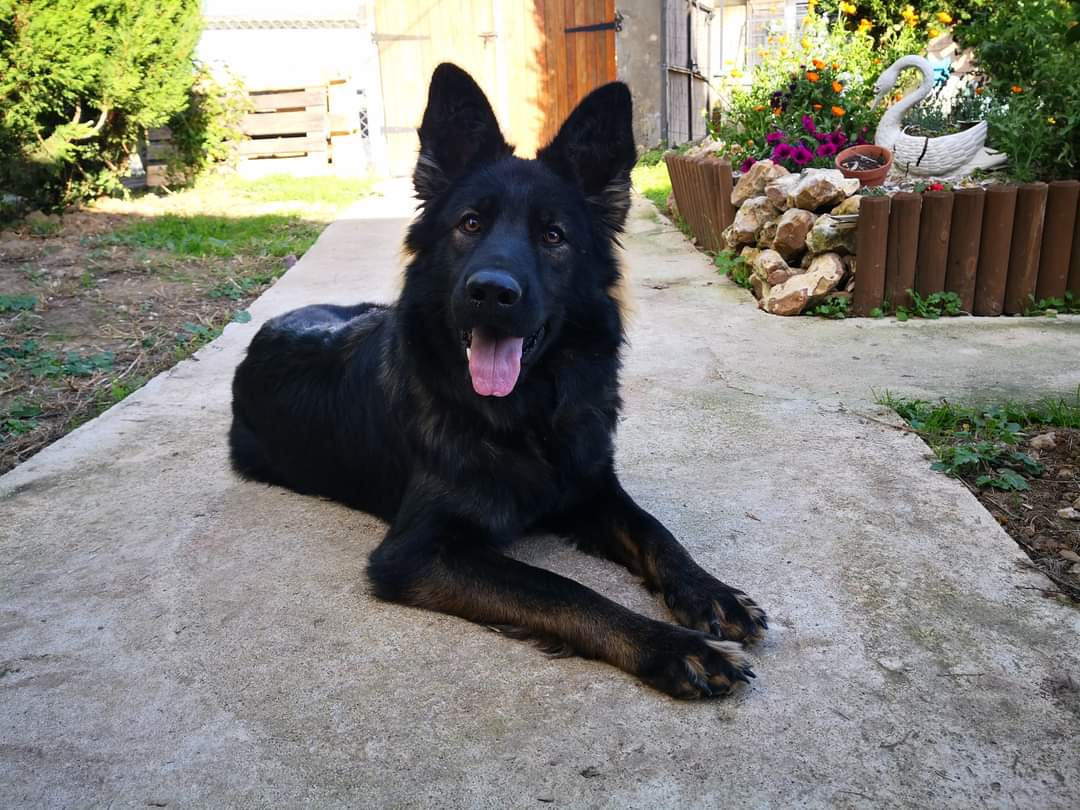 Formation sur problématiques comportementales