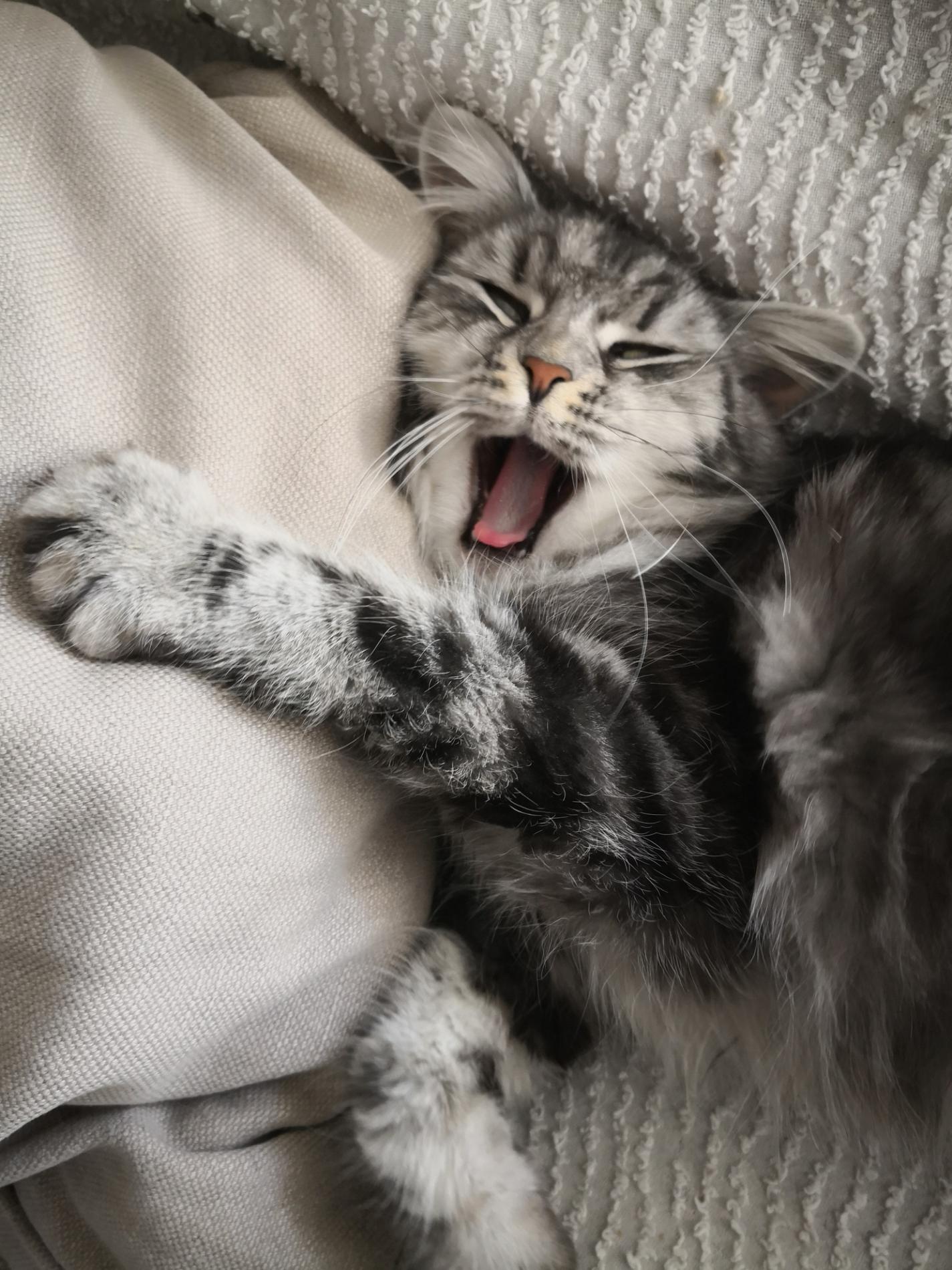 Formation sur problématiques comportementales