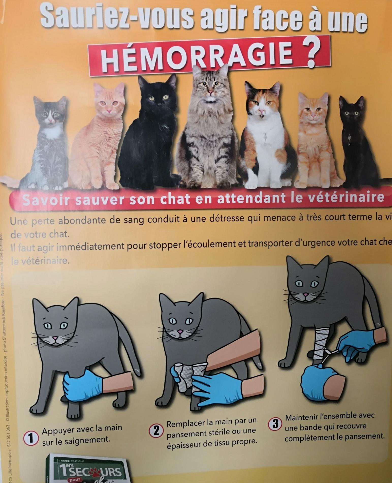 Formation Premiers Secours Canin & Félin