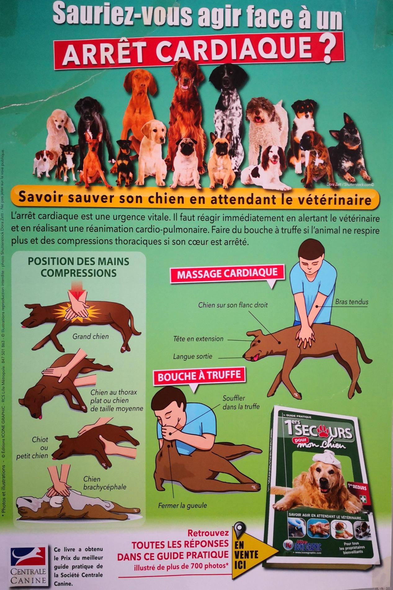 Formation Premiers Secours Canin & Félin