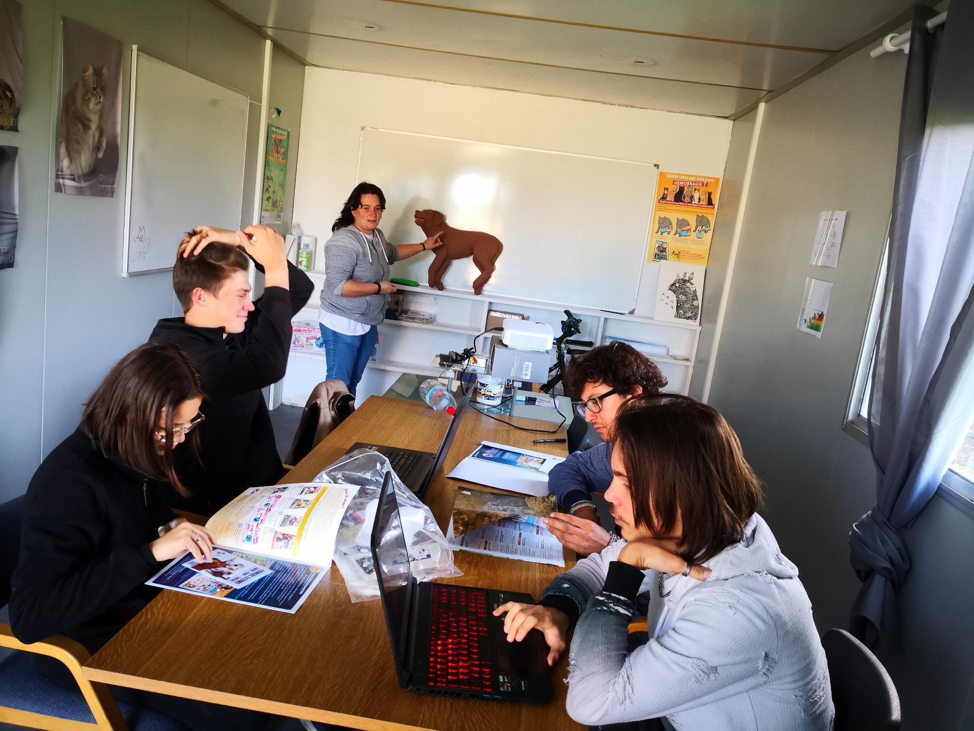 Formation Premiers Secours Canin & Félin
