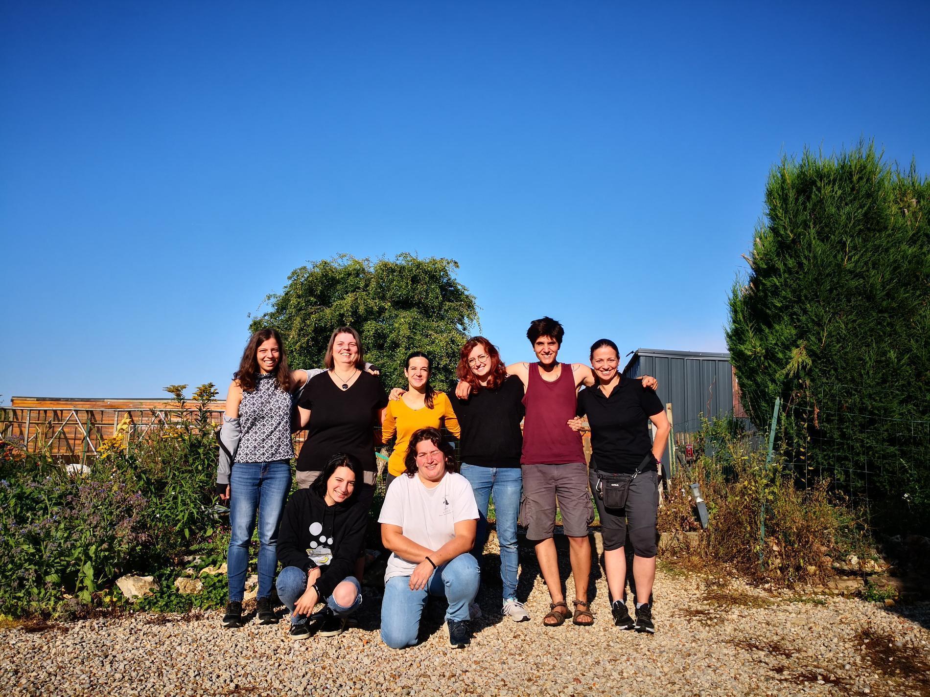 Formation Comportementaliste Félin