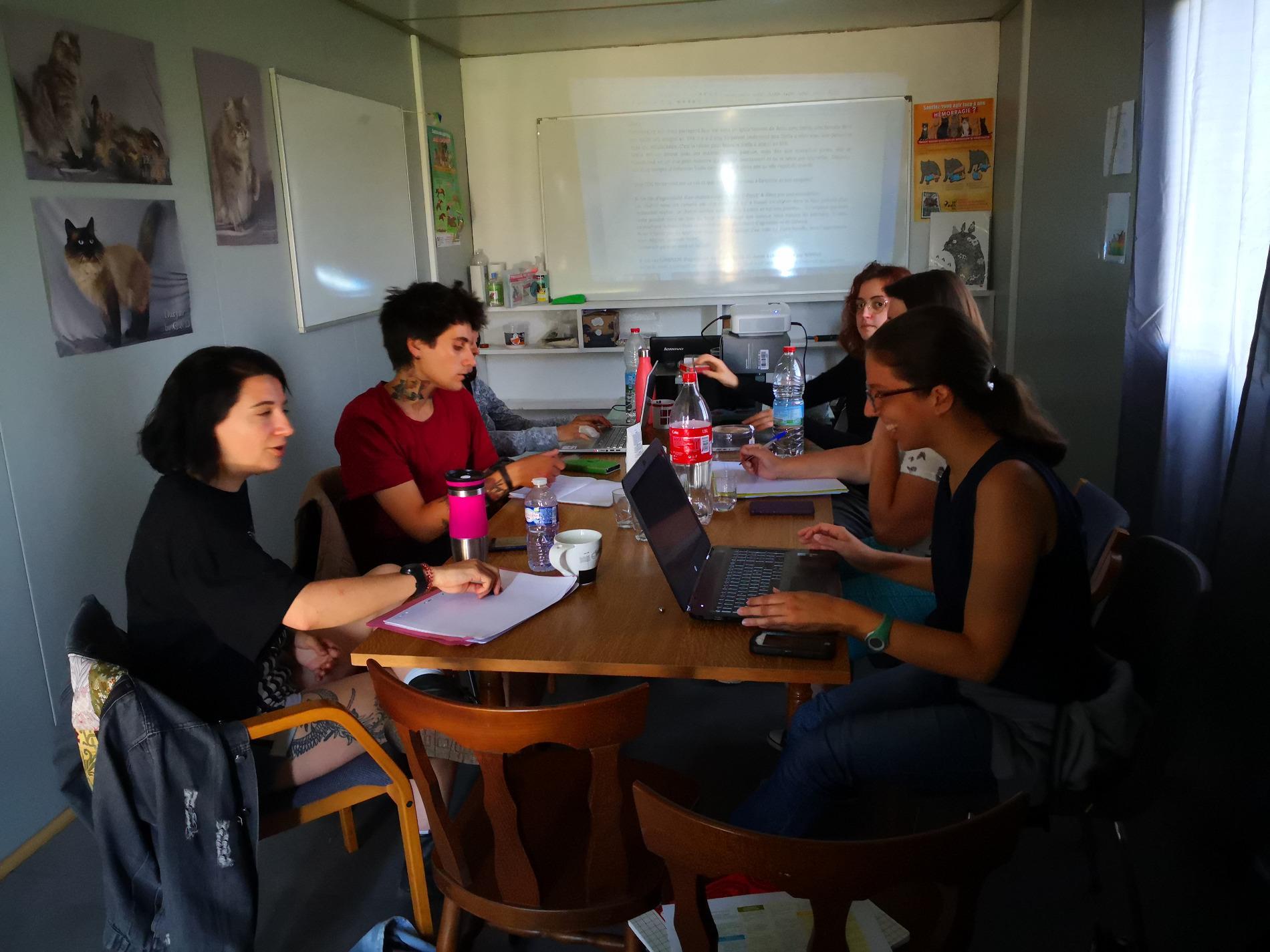 Formation Comportementaliste Félin